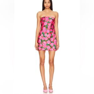 Show Me Your Mumu - Mini Dress Red with Pink Roses